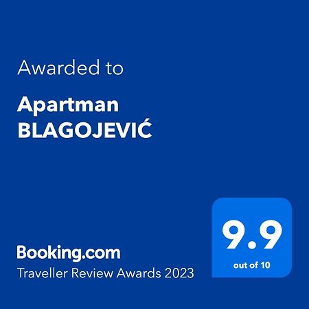 Apartman Blagojevic Banja Koviljaca Ngoại thất bức ảnh